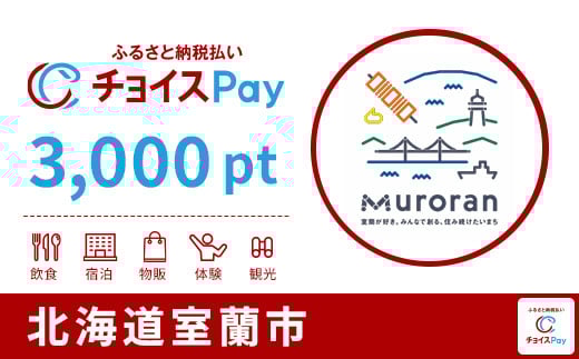 
            室蘭市チョイスPay 3,000pt【会員限定のお礼の品】
          