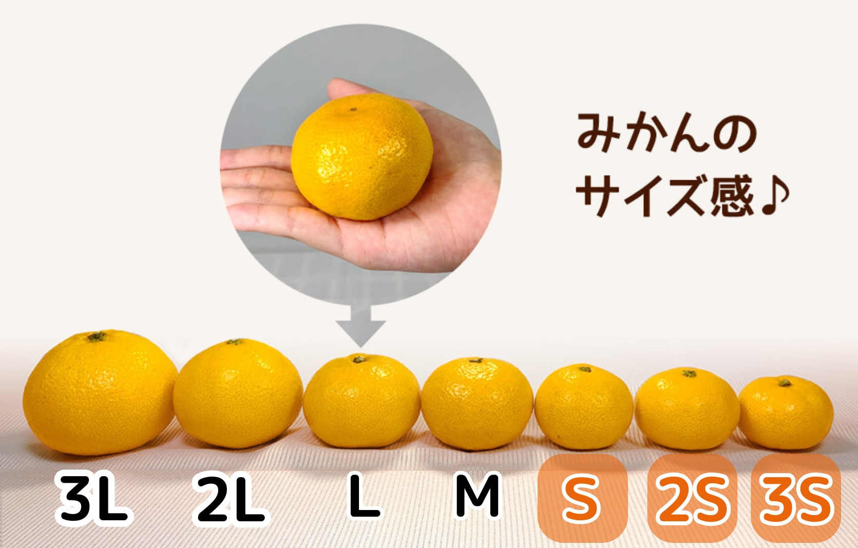 ゆら早生 みかん 小玉ちゃん 箱込10kg (内容量 9.2kg) 2Sサイズ以下 秀優混合 有田みかん 和歌山県産 【みかんの会】