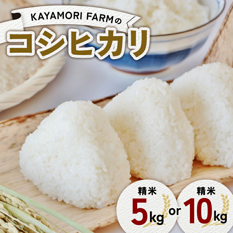【ふるさと納税】 ≪選べる容量≫ KAYAMORI FARMのコシヒカリ 精米5kg/10kg F6U-372var