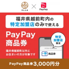 福井県越前町　PayPay商品券(3,000円分)※地域内の一部の加盟店のみで利用可