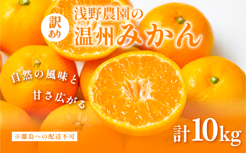 【先行予約】浅野農園の温州みかん 訳あり10kg ※離島への配送不可（2026年12月上旬～12月中旬頃に順次発送予定） IKTAC005