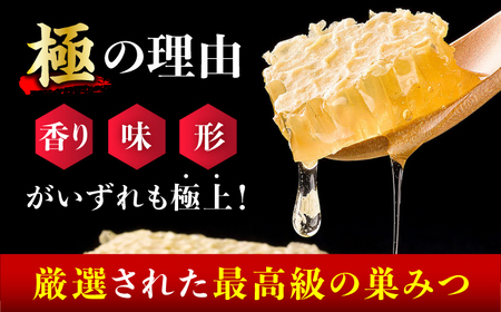 【先行受付 令和6年7月より発送】極巣みつ 930g (310g×3個)　広川町 / 株式会社九州蜂の子本舗[AFAI009]