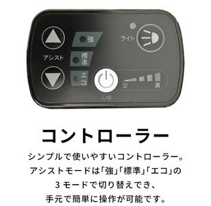 電動自転車 PELTECH（ペルテック）ノーパンク 折り畳み電動アシスト自転車 20インチ 折り畳み外装6段変速（TDN-206LN）【簡易組立必要】【マットネイビー】