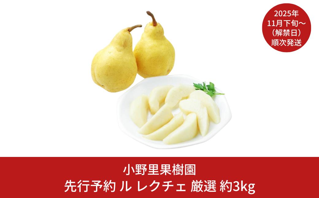 
            先行予約 ル レクチェ 厳選 約3kg(6～9個)  ル・レクチェ  新潟県産 洋梨 [小野里果樹園] 【016S034】
          
