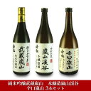 【ふるさと納税】嵐山町　地酒3本セット　「純米吟醸武蔵嵐山720ml」「本醸造嵐山渓谷720ml」「辛口嵐山720ml」　【 お酒 日本酒 晩酌 吟醸香 コク 旨み キレ 濃厚 爽快 爽やかな香り すっきり 辛口地酒 】