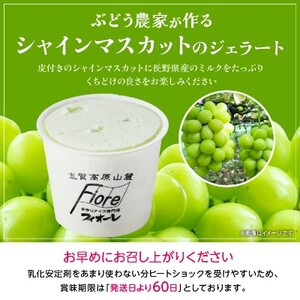 信州なかの　手作りジェラート2種セット(10個入り)【配送不可地域：離島】【1204751】