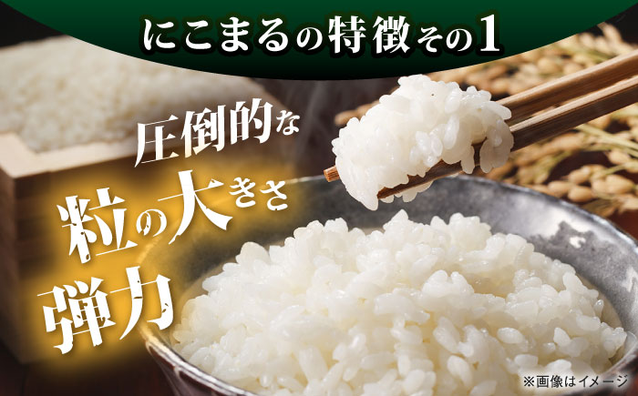 【全6回定期便】 にこまる 玄米品質1等米 白米 5kg 糸島市産 糸島市 / 糸島の恵み コメ こめ ご飯 [AGR009]