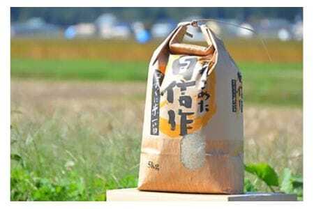 玄米 令和7年 特別栽培米 コシヒカリ 5kg [遠藤農園 山形県 高畠町 tk06ayt120002]