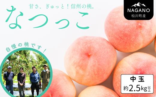KM07-26A 【先行予約】 桃 なつっこ 中玉 2.5kg（7～10玉）／2026年8月上旬～8月中旬頃 発送予定｜長野県 南信州 松川町産 モモ もも  贈答 産地直送 新鮮 特大 中玉 選べるサイズ KM
