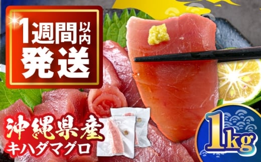 マグロ 冷凍キハダマグロ 1kg (500g×2パック) 沖縄市漁業協同組合 パヤオ直売店 [BCDZ001] マグロ 冷凍まぐろ 冷凍鮪 まぐろ 赤身小分け 冷凍 刺身 刺し身 赤身 鮪赤身 国産鮪 国産まぐろ キハダマグロ キハダ  赤身 ブロック 柵 海鮮丼 魚介 魚 さかな ツナ tuna 急速冷凍 海鮮 晩酌 国産 国産マグロ  お取り寄せ 沖縄 沖縄県産 人気 おすすめ 沖縄県 沖縄市
