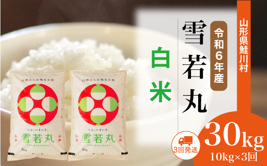 ＜令和6年産米＞ 令和7年4月中旬より配送開始 雪若丸【白米】30kg定期便 (10kg×3回)　鮭川村