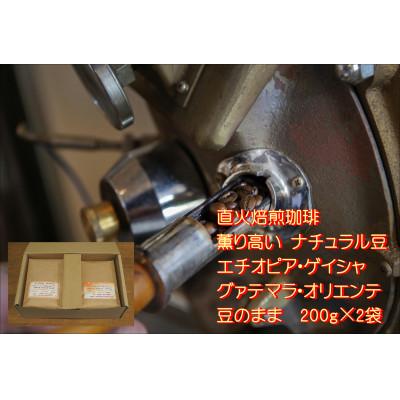ふるさと納税 河合町 【直火焙煎珈琲】マスターおすすめストレート珈琲豆(豆のまま)　