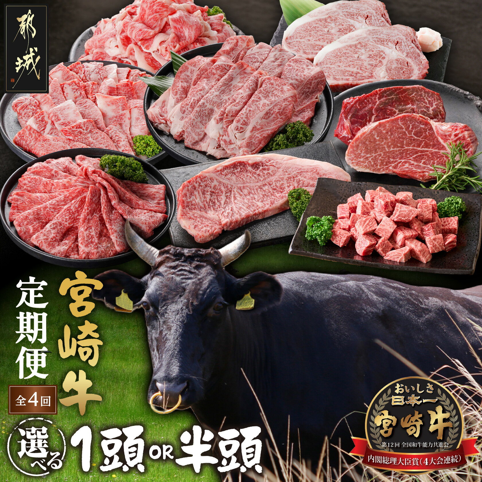 【ふるさと納税】【内容量が選べる！】≪4回お届け≫宮崎牛定期便 - 宮崎牛 1頭分 半頭分 ヒレステーキ サーロインステーキ リブロース鉄板焼き用 他 2ヶ月おき定期便 牛肉 送料無料 SKUT-N401 【宮崎県都城市】