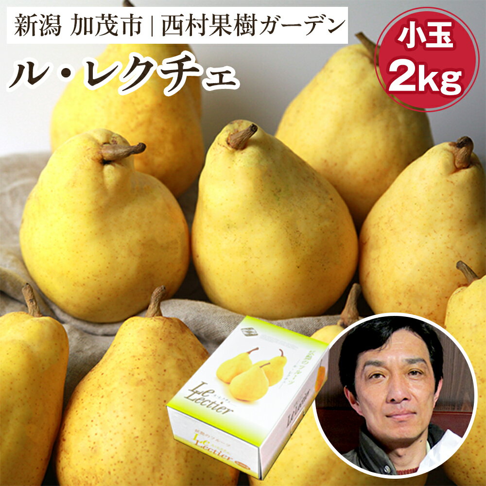 【ふるさと納税】【2025年先行予約】西村の黒酢ミネラル栽培「ル・レクチェ」（小玉） 2kg（8〜9玉）《11月下旬〜順次発送》 幻の西洋梨 梨 果実 フルーツ 冬の味覚 加茂市 西村果樹ガーデン