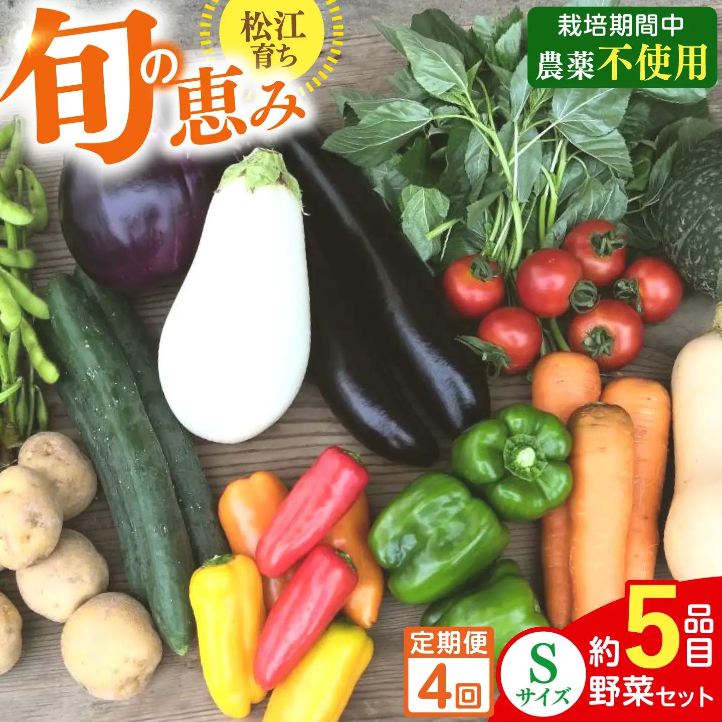 【4回】野菜定期便 8品目 野菜セット[ALBD011]