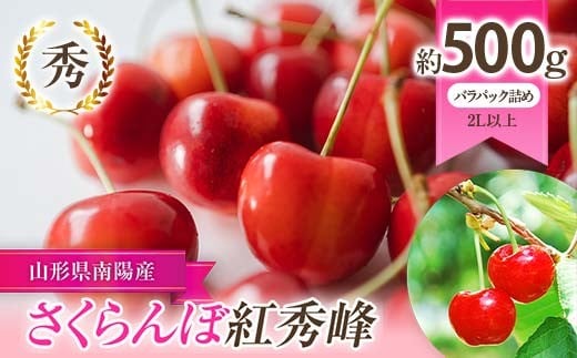 【令和8年産先行予約】 さくらんぼ 「紅秀峰」 約500g (秀 2L以上) バラパック詰め 《令和8年6月下旬～発送》 『生産者 佐藤 勇二』 サクランボ 果物 フルーツ 産地直送 生産農家直送 山形県 南陽市 [2235]