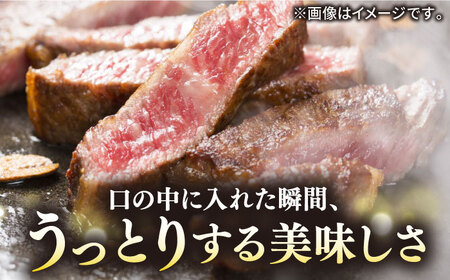 【全6回定期便】【30日間熟成】極上 壱岐牛 A5ランク Tボーンステーキ  約550～650g（雌） 《 壱岐市 》【 KRAZY MEAT 】[JER022] 504000 504000円  ステ
