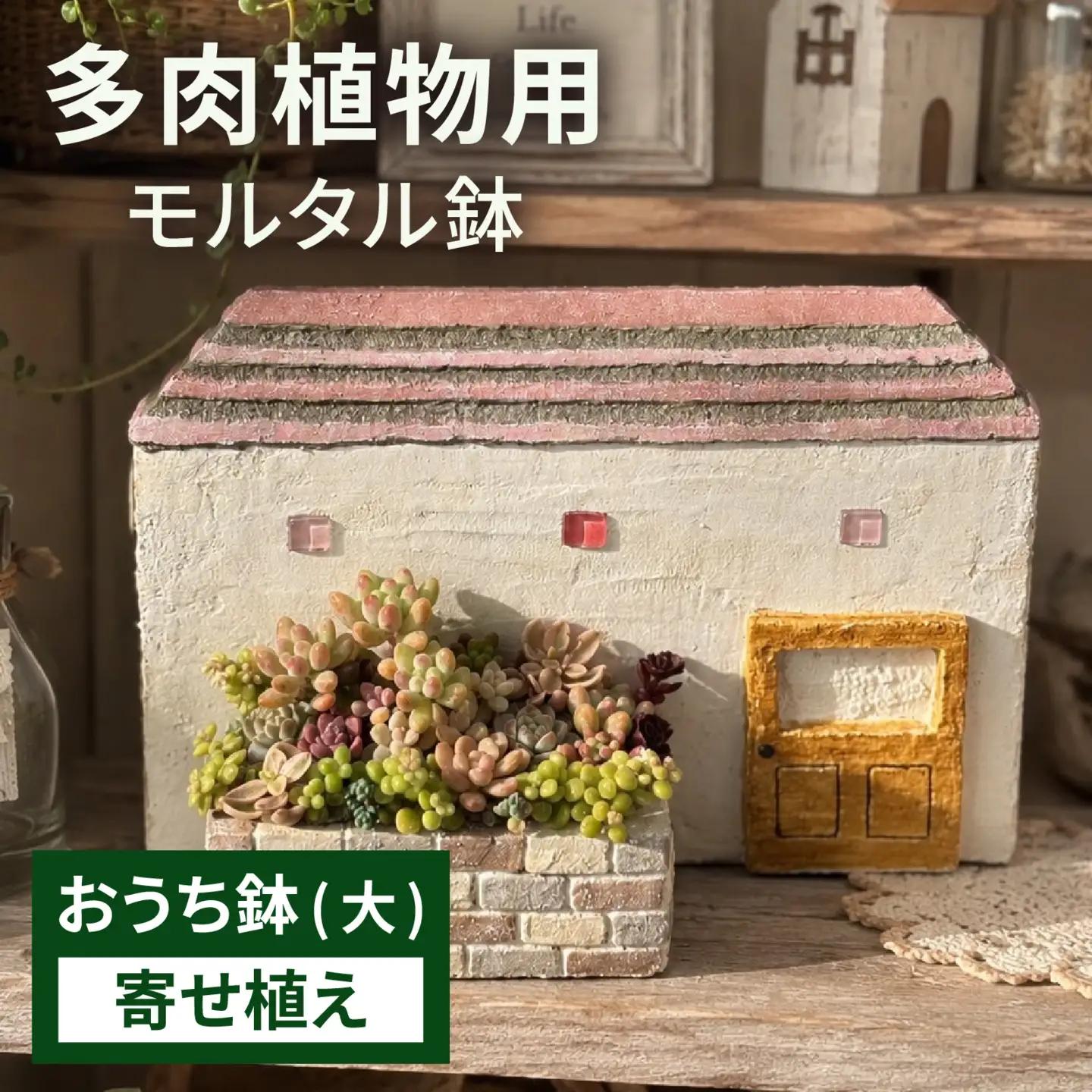 【期間限定】モルタル造形おうち鉢(大)と多肉植物の寄せ植え [A-078006]