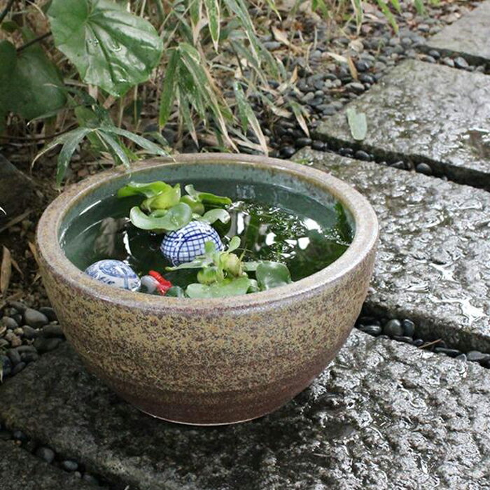 【ふるさと納税】信楽焼 10号窯肌水鉢 睡蓮鉢 メダカ鉢