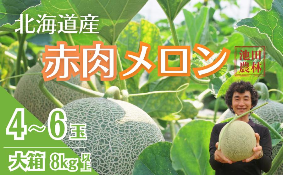 北海道栗山町産 幻のメロン 大箱（4～6玉 計8kg程度）