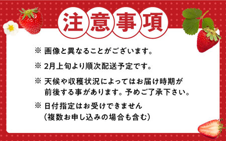 【2月以降順次発送】いちご あまおう 約270g×4パック 那珂川市 いちご フルーツ くだもの 果物 あまおう 九州産 苺 国産 10000 10000円 [GBR001]