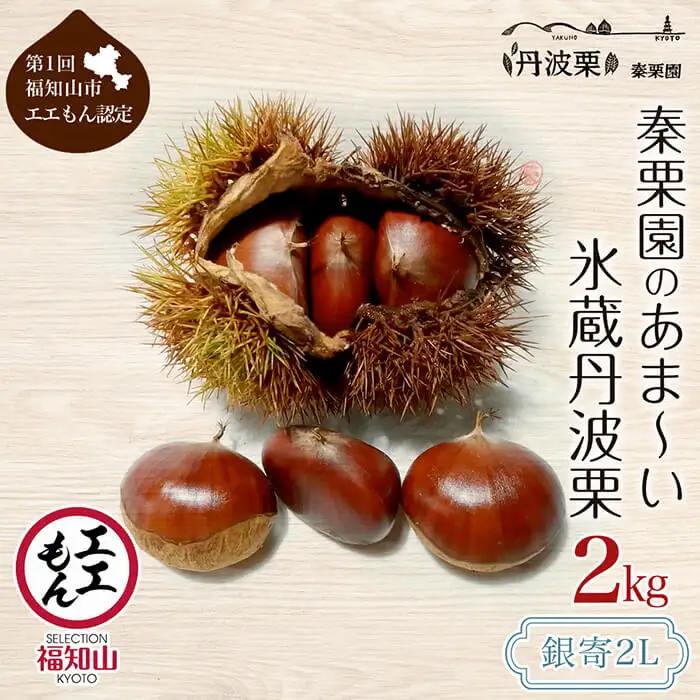 栗 くり 氷蔵 丹波栗 銀寄 2L 2kg