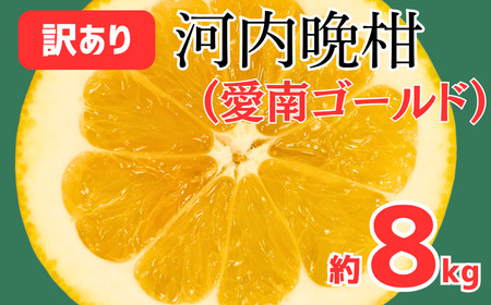 訳あり FN-SupportProject 増量 年末企画 愛南ゴールド ( 河内晩柑 ) 8kg 9000円  かわちばんかん ミカン わけあり 家庭用 愛媛県 愛南町 愛なんよ