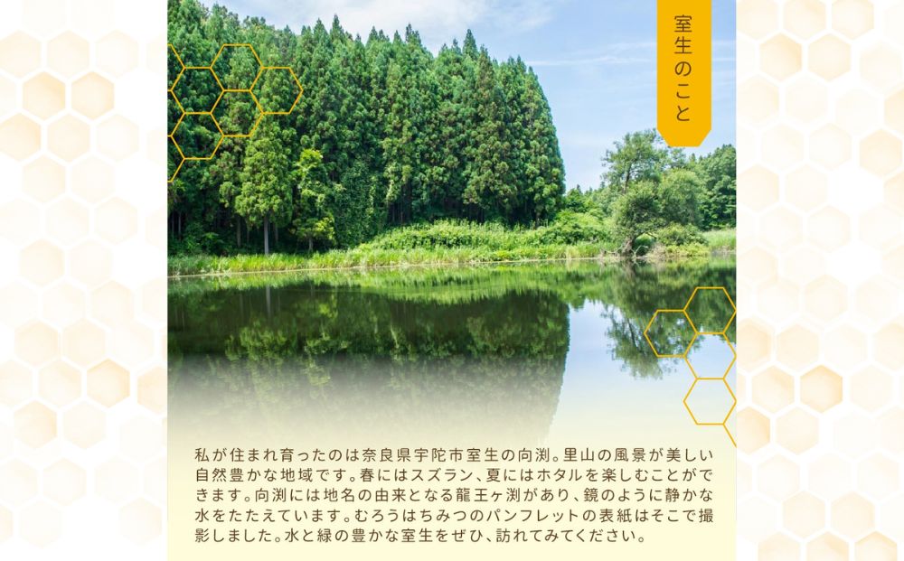 奈良産純粋はちみつ300g×2個(600g)／ むろうはちみつ 66832 室生 国産 蜂蜜 ハニー ギフト お取り寄せ ふくさきわう 奈良県 宇陀市