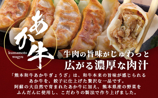 【餃子】 熊本和牛 あか牛 ぎょうざ 40個 (20個入り×2) 熊本県 和牛 あか牛 冷凍 生餃子 ぎょうざ おかず 総菜 お弁当 046-0632