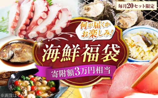 【何が届くかお楽しみ】旬の海の幸福袋 寄附額3万円相当 魚介類 海産物 海鮮 刺身 広島 海鮮 魚介類 冷凍 水産加工品 海藻 鮮魚 さかな 刺身 詰め合わせ セット 小分け 海鮮丼 加工品 惣菜 刺