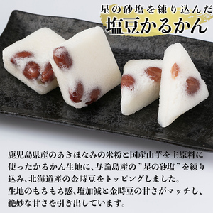 A0-354 薩摩銘菓塩豆かるかん(計15個)【九面屋】霧島市 鹿児島 菓子 和菓子 お茶菓子 お茶請け 軽羹 塩豆 金時豆 ギフト 贈答用