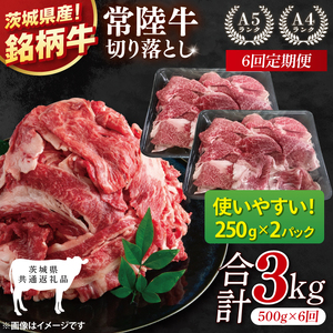 【茨城県共通返礼品】【6ヶ月定期便】常陸牛切り落とし 500g（250g×2）【黒毛和牛 国産 銘柄牛 牛肉 肉 冷凍 茨城県産】(81-20)