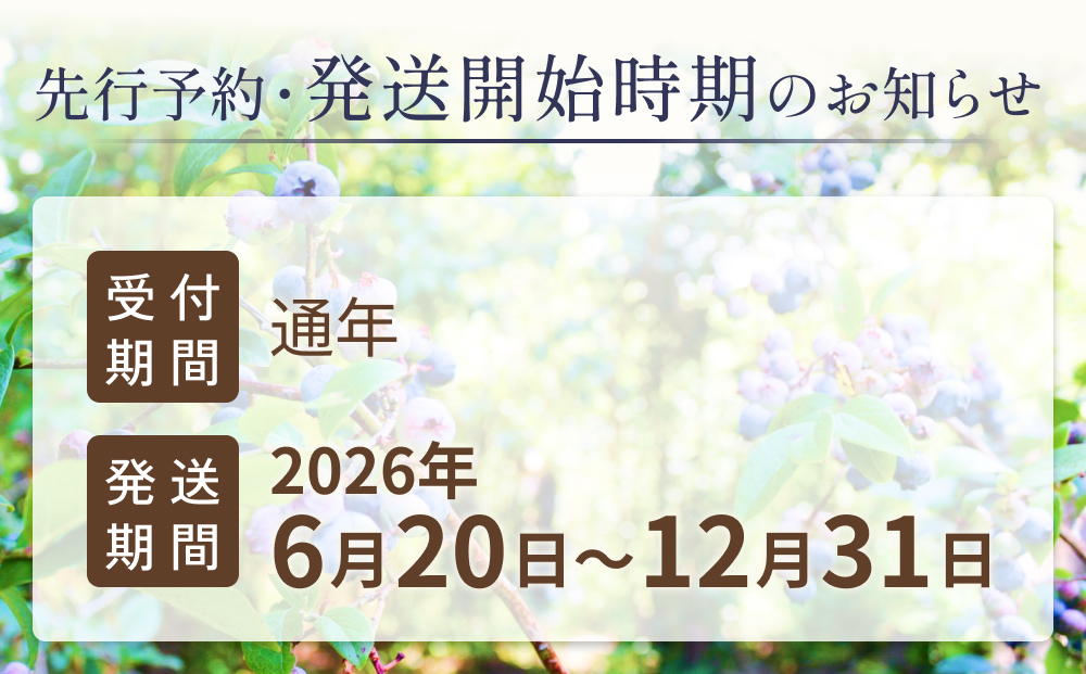 ＜ 先行予約 ＞ ドライブルーベリー 50g 無添加 摘みたて 砂
