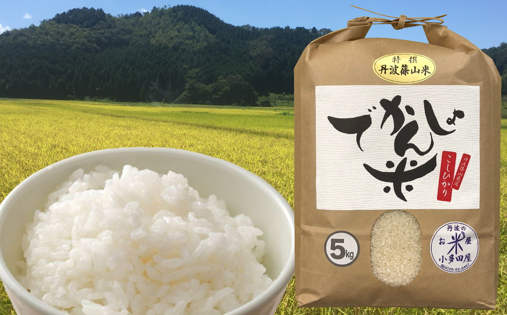 
            【令和6年産 新米】 抜群の味と香り　丹波篠山産コシヒカリ5kg×１山椒醤油漬セット
          