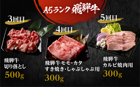 A5飛騨牛　定期便　5カ月ちょこちょこお届け（焼肉・すき焼き　ほか）☆