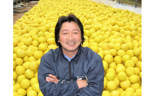 土佐文旦 5kg L?3L ご家庭用 高知 黒潮町 文旦 ぶんたん 柑橘 フルーツ 果物 文旦5kg 家庭用文旦 9?12個 産地直送 citrus 文旦セット 大玉 小玉 サイズ統一 高知文旦 国産文旦 柑橘類 旬 果物セット［1462-2］