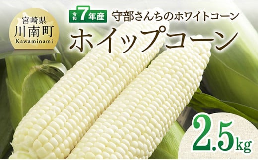 【令和7年度産】守部さんちのホワイトコーン「ホイップコーン」2.5kg 【 とうもろこし ホワイトコーン トウモロコシ ホイップコーン 令和7年発送 先行予約 数量限定 期間限定 】