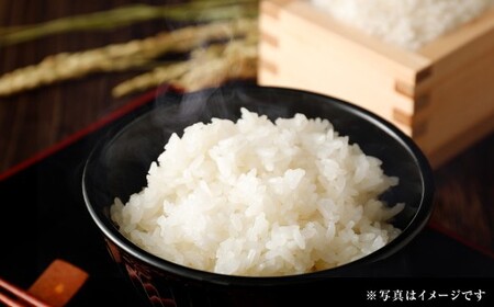 〈令和7年産〉 【はたなかさんち】 泉州産 ヒノヒカリ 5kg×1袋  【2025年11月上旬ー12月下旬発送予定】 お米 米 白米 ごはん 国産
