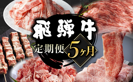 【毎月お届け】飛騨牛 5回定期便 （スライス すき焼き しゃぶしゃぶ 焼肉 牛串 ）5回 お楽しみ 食べ比べ 牛肉 肉 和牛[Q1675x]