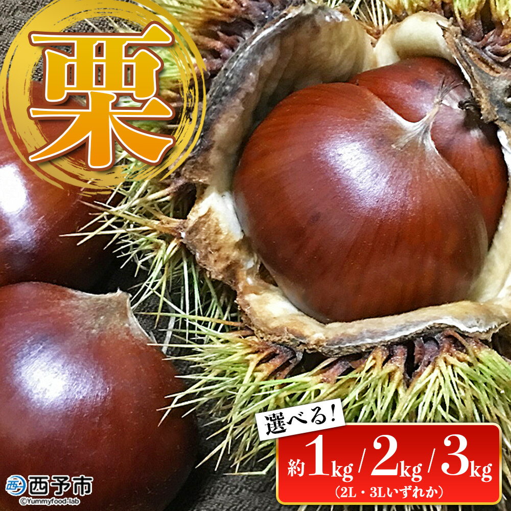 【ふるさと納税】＜栗 約1kg／2kg／3kg（2Lまたは3Lサイズ）愛媛県西予市産＞ クリ くり 果物 フルーツ マロン モンブラン 栗ご飯 栗きんとん 栗の甘露煮 特産品 国産 秋の味覚 食べて応援 宇都宮物産 愛媛県 西予市【冷蔵】『2025年9月上旬～10月中旬迄に順次出荷予定』
