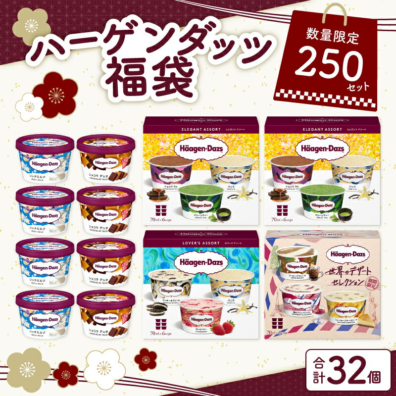 【ふるさと納税】ハーゲンダッツ 福袋 数量限定 大人の贅沢 アイスクリーム アイス スイーツ デザート チョコ 高級 贅沢 詰め合わせ 大容量 大量 食べ比べ おやつ 人気 おすすめ 正月 新春 2026年 初売り 初売 お年賀 贈答 ギフト 国産 牛乳 ミルク 北海道 浜中町 冷凍