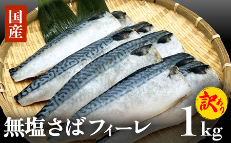 鯖 訳あり 無塩サバフィレ1.0kg（10枚前後） さば サバ さばフィレ 切り身 冷凍 宮城県 石巻市