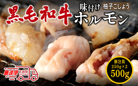 〈スピード出荷〉黒毛和牛ホルモン（柚子胡椒 小分け 500g）ホルモン MSK025