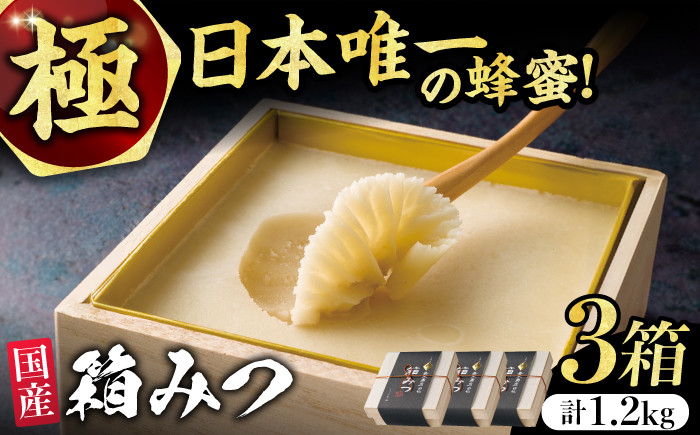 
【先行受付 令和6年12月より発送】極箱みつ 3個セット 計1200g (400g×3個) 蜂蜜 はちみつ ハチミツ 高級 濃厚 バター ハニー クリーム 箱蜜 蜂蜜 広川町 / 株式会社九州蜂の子本舗 [AFAI015]
