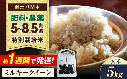 【令和8年産 新米】米 特別栽培 ミルキークイーン 5kg 玄米 長浜市/株式会社お米の家倉 [AQCP019] 米 お米 コメ 玄米 5kg 滋賀県産 長浜市産 こめ お米 食品 ふるさと納税 国産 炊きたて 米ギフト もちもち ブランド米 食卓 美味しい 産地直送 人気 ごはん ご飯 おにぎり 炊き込みご飯 5キロ おすすめ プレゼント 贈答