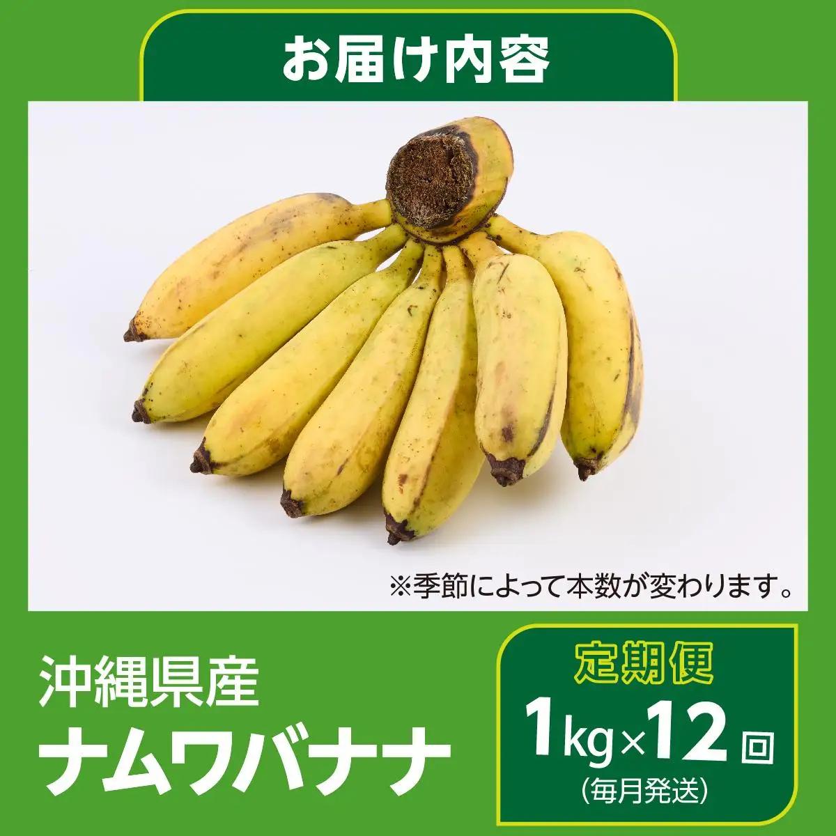 ナムワバナナ　1kg　定期便12回