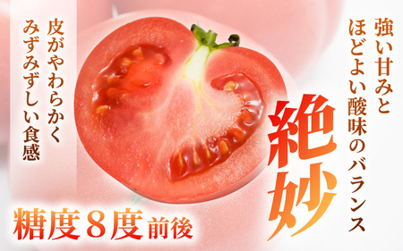 越のルビー（ミディトマト）中玉トマト 約2kg 2027年6月上旬以降発送 [A-19208]