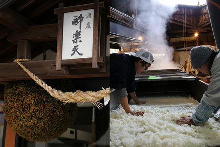 酔楽天 純米大吟醸 1800ml×1本