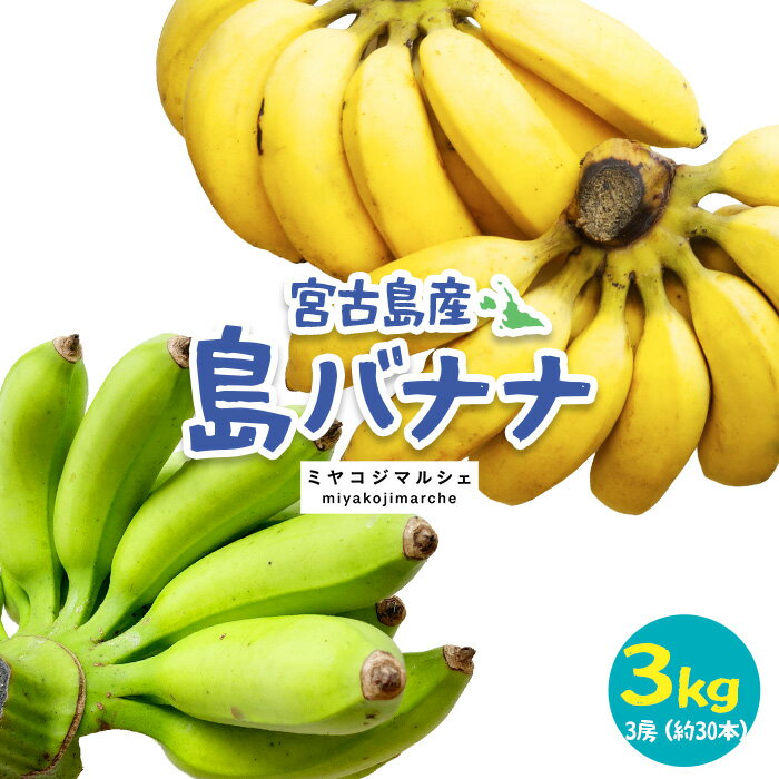 【ふるさと納税】宮古島産バナナ3kg【（株）フラモン】（JH008）