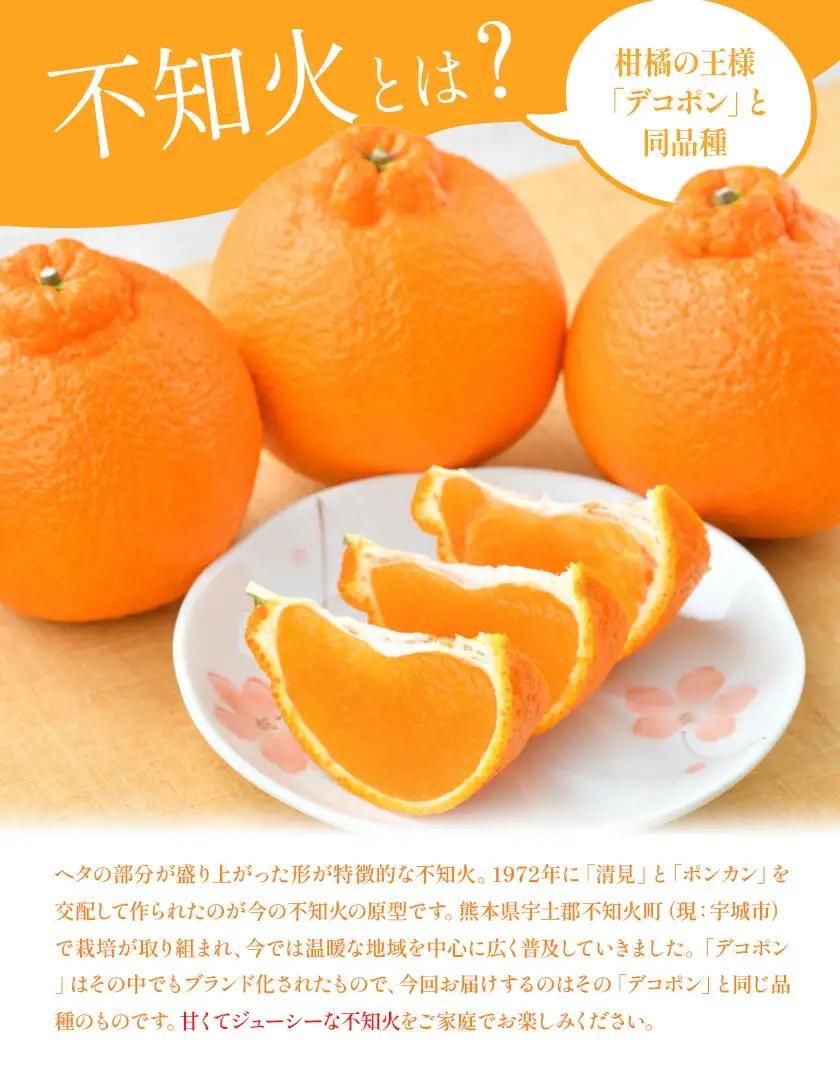 不知火 計10kg しらぬい 日本フルーツ株式会社 デコポン